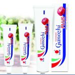 DXN GANOZHI  PLUS TOOTHPASTE